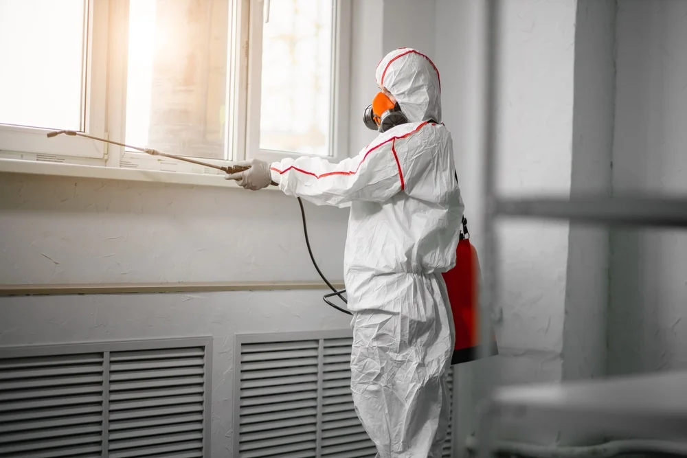 Professional mold remediation services in Knightstown, IN